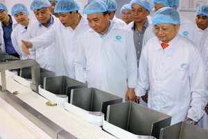 Thủ tướng Kl993 ưu đãi thưởng hấp dẫn Nguyễn Xuân Phúc thăm nhà máy chế biến tôm của Kl994 game bài casino hấp dẫn Minh Phú
