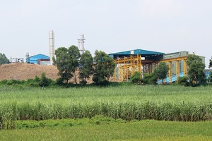 Có công ty trong lĩnh vực mía đường lên kế hoạch Kl99 nổ hũ năm 2017 giảm 89% so với năm 2016