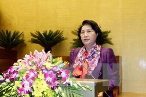 Chủ tịch Quốc hội Nguyễn Thị Kim Ngân (Ảnh: TTXVN)