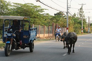 Nhiều khu đất tại quận 9, TP.HCM dù Kl99kl ưu đãi độc quyền nhếch nhác, nhưng vẫn tăng giá phi mã. Ảnh: Việt Dũng 