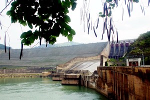 Ảnh Internet