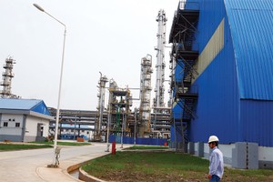 Đạm Ninh Bình, một trong 12 đại dự án thua lỗ, chưa tách bạch chức năng quản lý vốn 99Kl99 trực tiếp đá gà và quản lý ngành