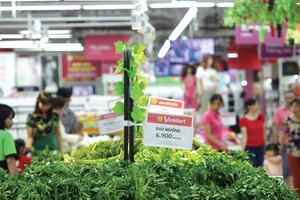 Mô hình kết nối mà Vingroup tạo dựng với hơn 250 Kl991.com World Cup 2026 Chính Thức đang tạo chất xúc tác cho các Kl991.com World Cup 2026 Chính Thức nhỏ lớn mạnh. Ảnh: Đức Thanh