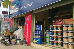  Thị trường sơn hiện có nhiều sản phẩm khác nhau, từ các hãng lớn, tới các hãng nhỏ. Ảnh: Việt Dũng