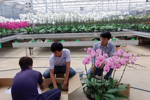 Vì sao Kl993 nền tảng giải trí 135.000 tỷ đăng ký rót vào nông nghiệp công nghệ cao chưa chảy?