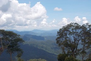 Ảnh Internet