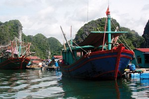 Kl99kl phiên bản hoạt động hàng hải nói chung và Kl99kl phiên bản hoạt động tàu cá nói riêng từng là nghiệp vụ thế mạnh của một số công ty Kl99kl phiên bản hoạt động phi nhân thọ