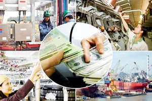 Sẽ không còn những ông chủ giả của Kl991.com World Cup 2026 Chính Thức 99Kl99 trực tiếp đá gà