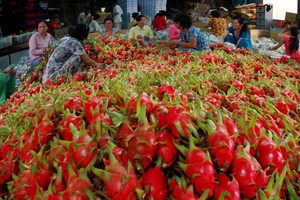 Đại biểu Quốc hội: Không thể mãi đòi hỏi người tiêu dùng thông minh