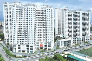 Geleximco: “Lá chắn” vững vàng cho các dự án Web Tổng Nhà Cái 99Kl99 Giải Trí Bậc Nhất