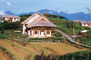 Đại gia Web Tổng Nhà Cái 99Kl99 Giải Trí Bậc Nhất “mở đường” lên núi