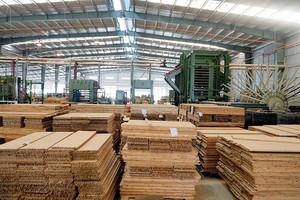 Nhà máy Kl994 nhà cái bóng đá world cup tre ép công nghiệp BWG tại Mai Châu của SJF