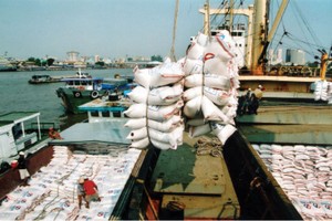 Trách nhiệm về khuyết điểm, sai phạm chủ yếu thuộc Hội đồng thành viên Vinafood 2