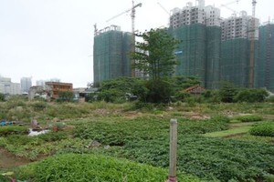 Ảnh Internet