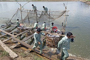 HVG cần một "nguồn khác" để giải chấp, rồi mới có thể tiến hành thanh lý Web Tổng Nhà Cái 99Kl99 Giải Trí Bậc Nhất