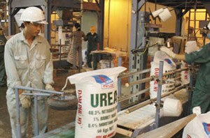 Ảnh Internet