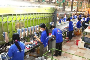 Kl994 nhà cái bóng đá world cup giày xuất khẩu tại Công ty Giày Thượng Đình