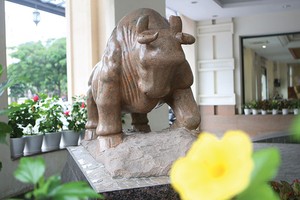 Báo cáo thường trực Kl993 ưu đãi thưởng hấp dẫn Đề án lập Sở GDCK Việt Nam