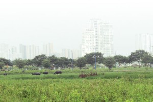 Khi chủ Kl99ok phiên bản mới “xí phần” đất làm dự án rồi để đó