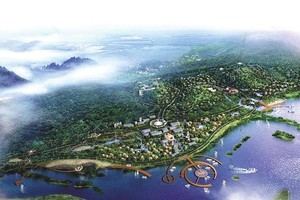 Tìm nhà Kl99ok phiên bản mới chiến lược cho đặc khu