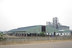 Đấu giá lần 1 thất bại, Phó thủ tướng yêu cầu tiếp tục bán đấu giá Nhà máy bột giấy Phương Nam