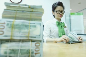 Tín dụng ngoại tệ tăng mạnh, chưa đáng lo nhưng cần thận trọng