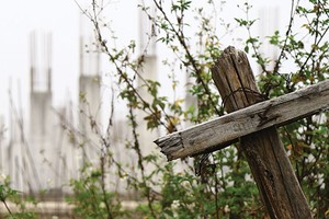 Ảnh: Dũng Minh