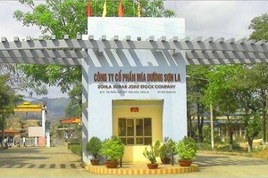 Ảnh Internet