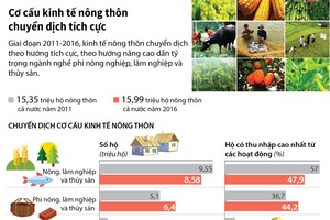 [Infographic] Cơ cấu Kl992 cổng game cá cược nông thôn chuyển dịch tích cực