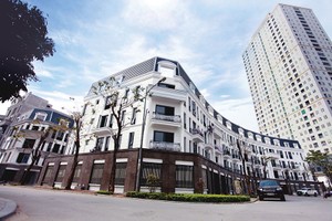 Dự án V5, V6 thuộc Khu đô thị Văn Phú đã góp phần giúp Kl99 nổ hũ Công ty nửa đầu năm tăng đột biến so với các năm trước đó