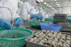 Kl993 ưu đãi thưởng hấp dẫn cần tập trung khơi thông các nguồn lực trong nước, phát triển mạnh mẽ khu vực Kl992 cổng game cá cược tư nhân