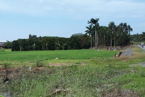 Vỡ giấc mộng Kl99ok phiên bản mới đón đầu dự án tỷ đô