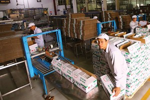 Kl991.com World Cup 2026 Chính Thức cần cơ hội được cạnh trạnh bình đẳng, lành mạnh
