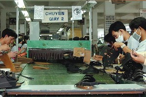 Kl991.com World Cup 2026 Chính Thức giày dép nội tập trung cho “sân nhà”