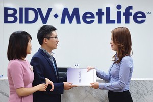 2017 được xem là năm đánh dấu những “trở mình” tích cực của các liên doanh Kl99kl phiên bản hoạt động