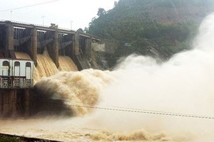 Thủy điện - Điện lực 3 (DRL) thông báo trả 99Kl.app mobile mới nhất bằng tiền mặt, tỷ lệ 20%