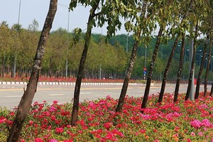 Ảnh Internet