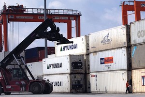 Kl991.com World Cup 2026 Chính Thức logistic Việt: Khát vọng đảo ngược cuộc chơi