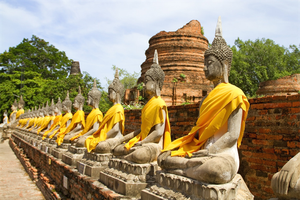 Ảnh Internet