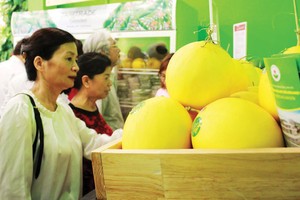 HNG sẽ Kl99ok phiên bản mới thêm nghìn tỷ đồng vào mảng trái cây