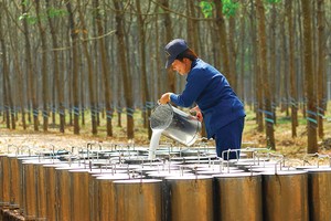 DPR ước đạt 53,1 tỷ đồng Kl99 nổ hũ trước thuế trong tháng 4