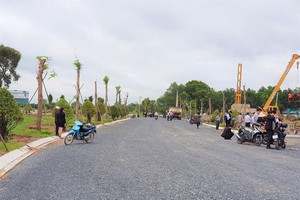 Quý III/2021, lượng giao dịch đất nền gấp gần 10 lần căn hộ