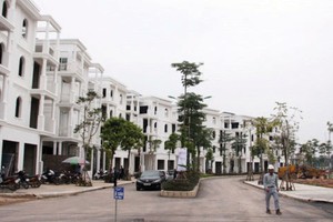 Ảnh Internet