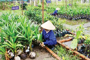 Ảnh Internet