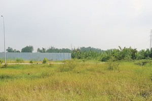 Nghe theo lời quảng cáo có cánh, nhiều nhà Kl99ok phiên bản mới đã bị chôn vốn ở các dự án bánh vẽ ở vùng ven. Ảnh: Gia Phú