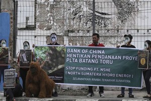 Người dân phản đối việc xây dựng một con đập do Trung Quốc hậu thuẫn ở Batang Toru.