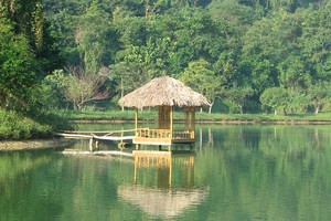 Đến rừng Cúc Phương ngắm hồ điệp, xem lễ hội ánh sáng