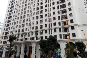 Theo người dân Eco Lakeview, họ đã nhiều lần gửi đơn thư nhưng Ecoland không phúc đáp