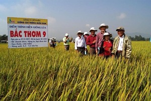Việc Kl991.com World Cup 2026 Chính Thức thực hiện chính sách bán chịu tuy có tác dụng kích thích khách hàng mua hàng nhiều hơn, nhưng đi kèm với đó là rủi ro phát sinh nợ xấu.
