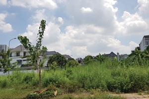 Chủ Kl99ok phiên bản mới “quên” tiện ích xanh: Ai xử lý?